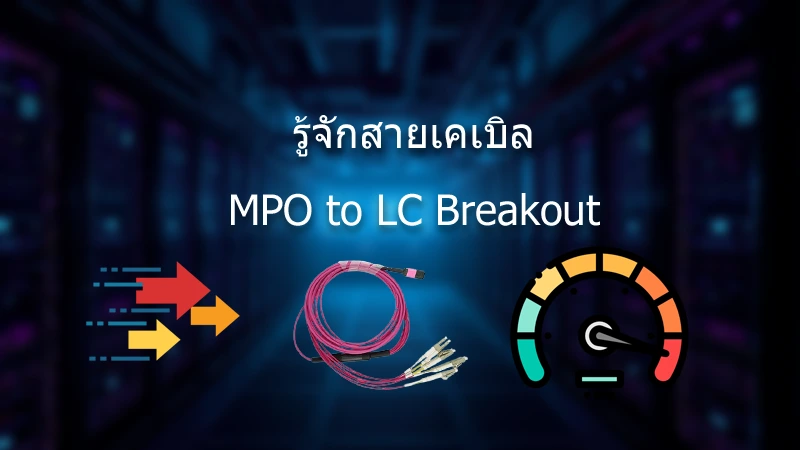 ทำความรู้จัก: สายเคเบิล MPO to LC Breakout