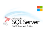 [DG7GMGF0M7XW_2CORE_COM] Microsoft SQL Server 2022 Standard Edition